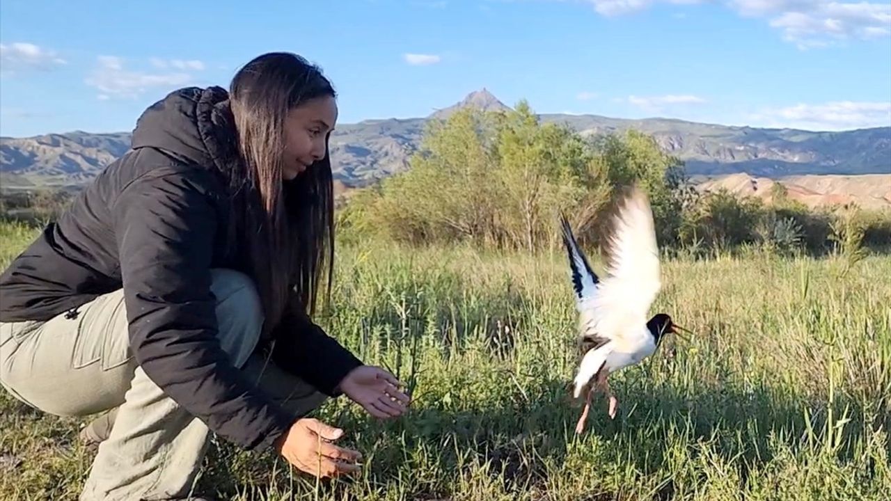 Poyraz Kuşu 5 Günde Kızıldeniz'e Ulaştı