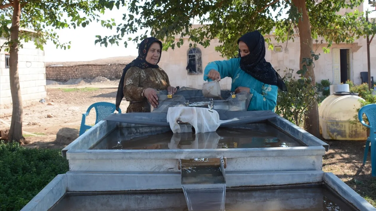 Şanlıurfa'da 12 Bin Yıl Önceki Yaşam İzleri Ortaya Çıkıyor