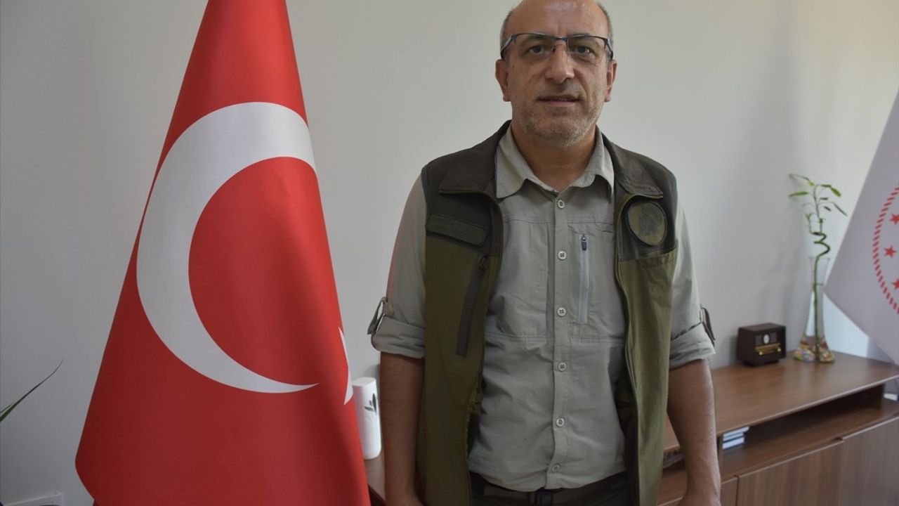 Şırnak'ta Yaralı Kuşlar Kurtarıldı