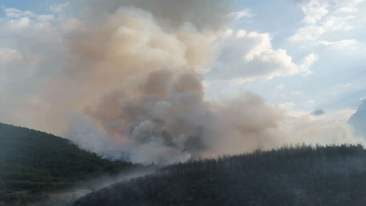 Tokat'ta Orman Yangınına Müdahale Başlatıldı