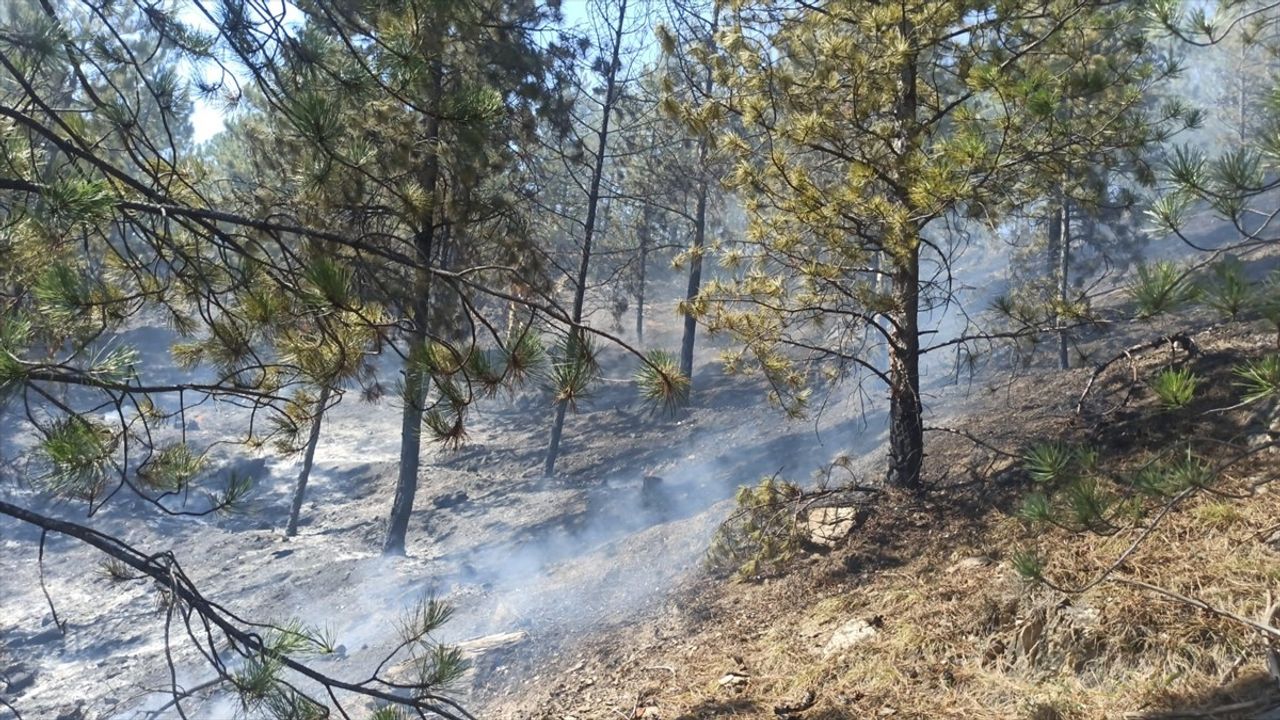 Tokat'taki Orman Yangını Kontrol Altına Alındı