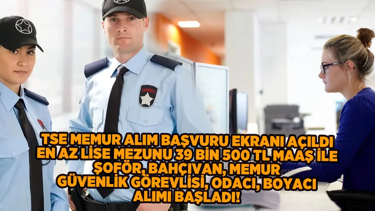 TSE Personel Alım Başvuruları Başladı! En Az Lise Mezunu Adaylar için Memur Olma Fırsatı