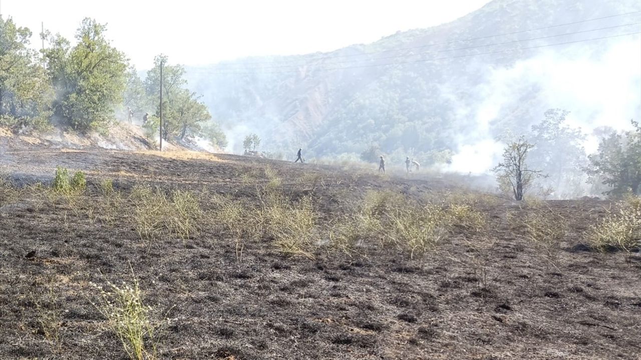 Tunceli'de Orman Yangınına Hızla Müdahale Ediliyor