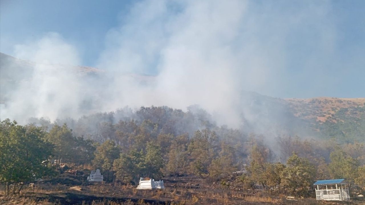 Tunceli'de Orman Yangınına Mücadele Devam Ediyor