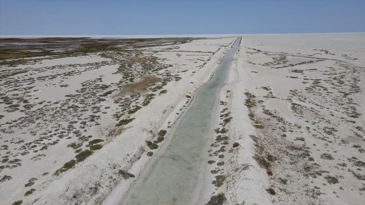 Tuz Gölü'ndeki Flamingo Yavruları Sağlıklı Bir Şekilde Büyüyor