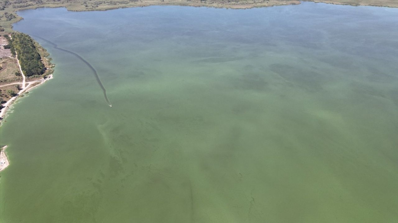 Yeniçağa Gölü'nde Alg Patlaması Rengi Değiştirdi