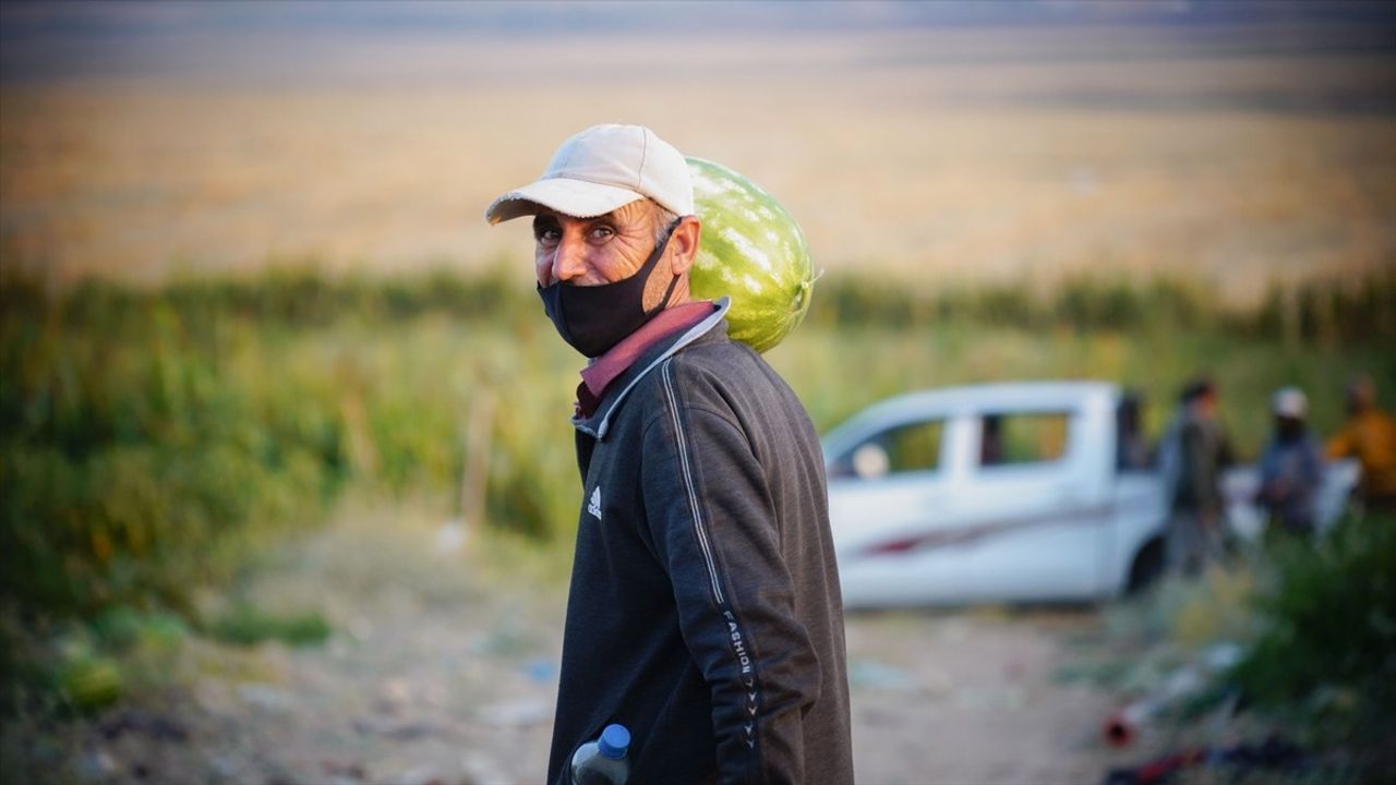 Yezidiler Güvenli Dönüş İçin Umut Bekliyor