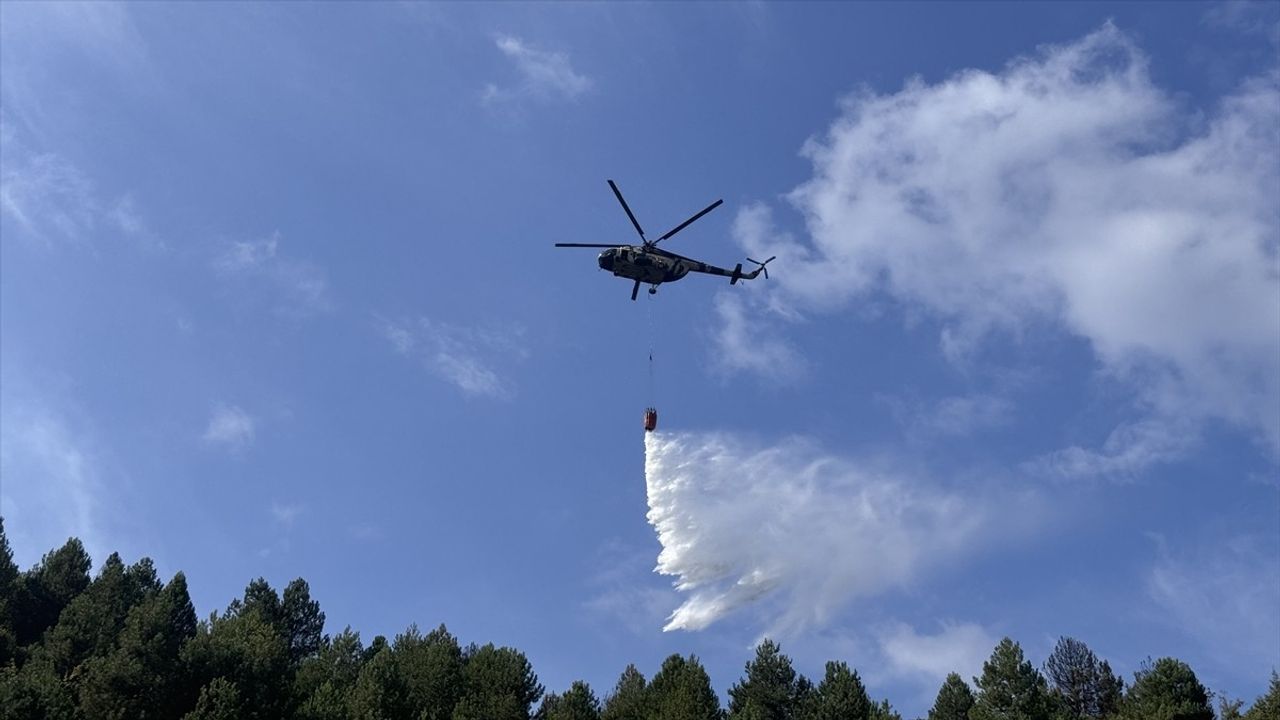 Zonguldak'ta Orman Yangını Kontrol Altına Alındı