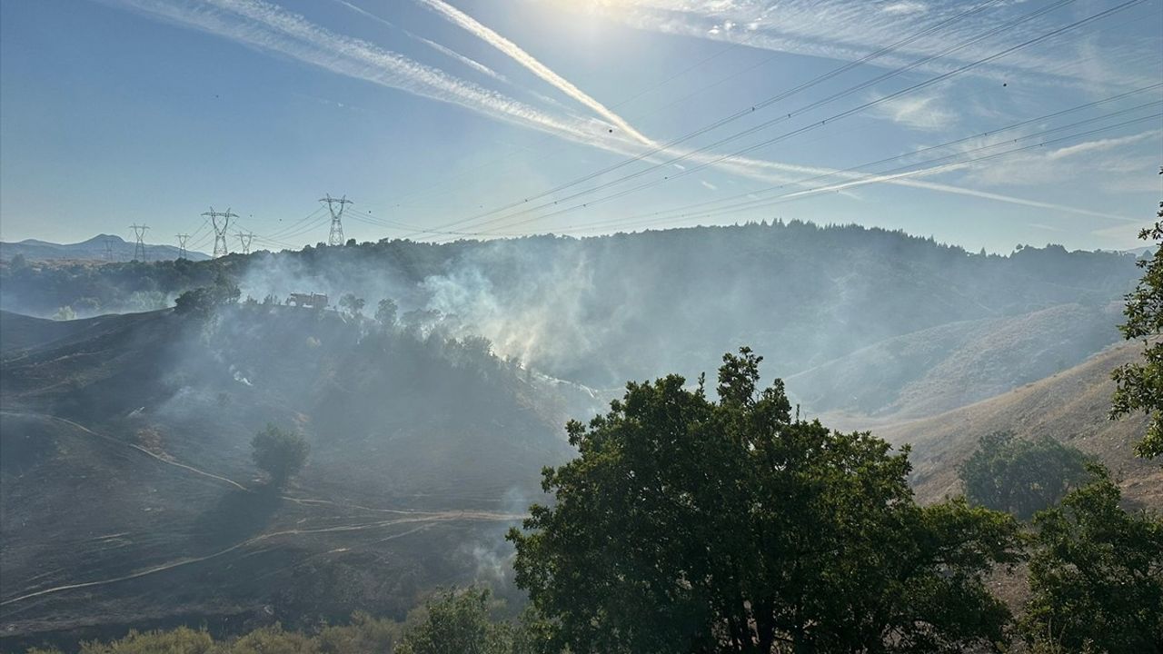 Bingöl'ün Genç İlçesinde Orman Yangını Kontrol Altına Alındı