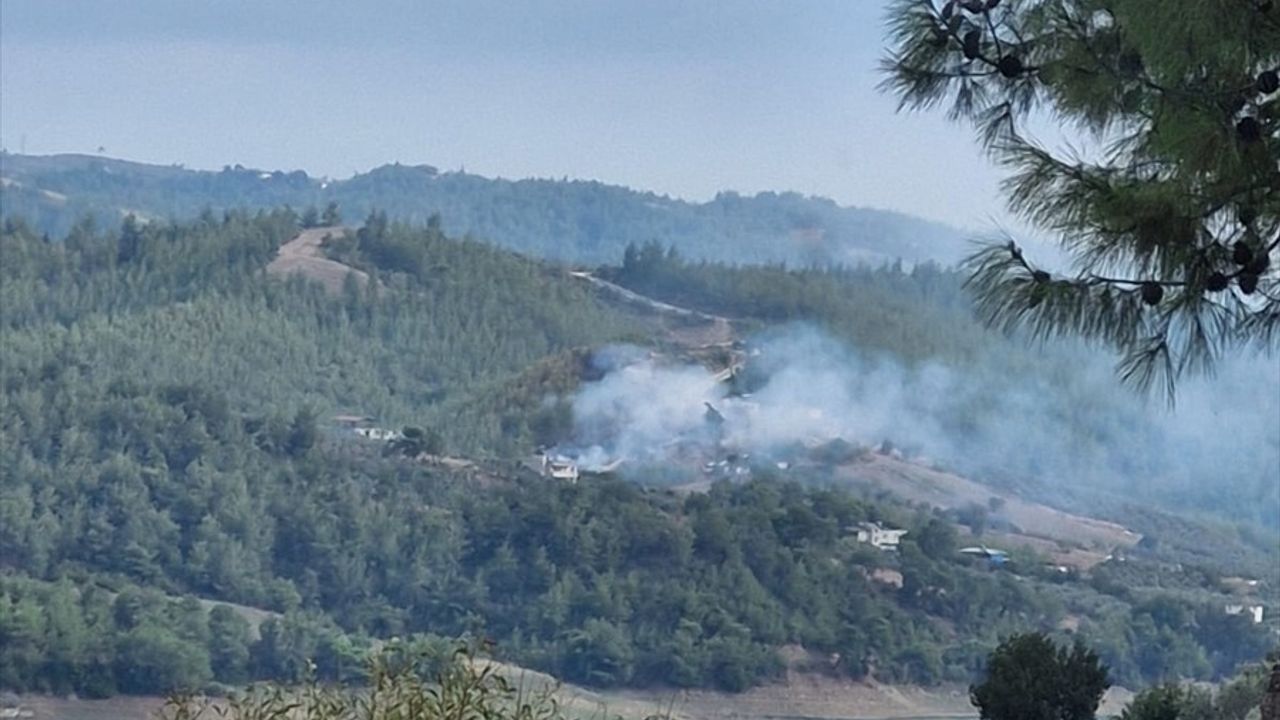 Adana'da Orman Yangınına Hızla Müdahale