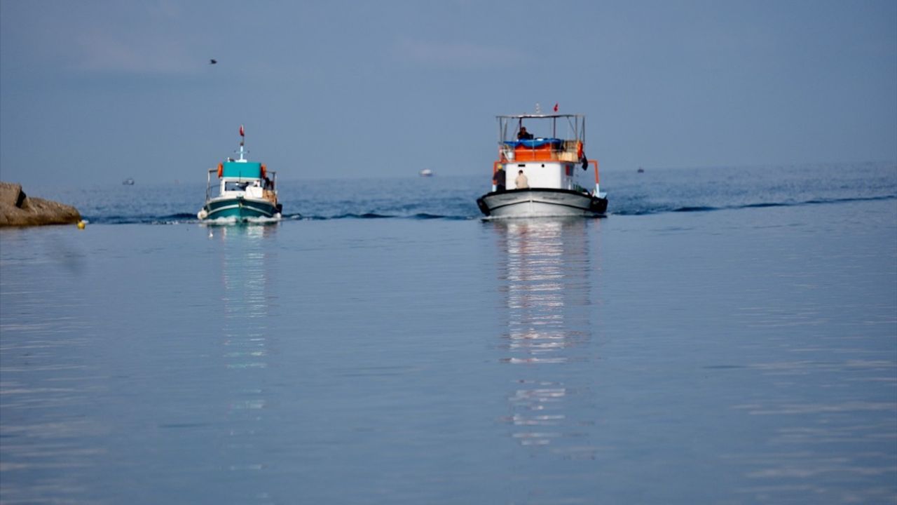Akçakoca Limanı'nda Palamut Sevinci