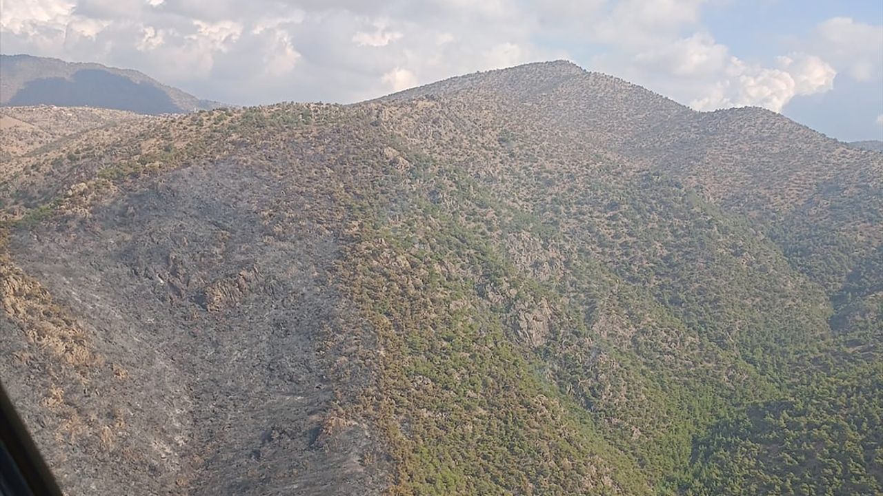 Alaşehir'deki Orman Yangını Kontrol Altına Alındı