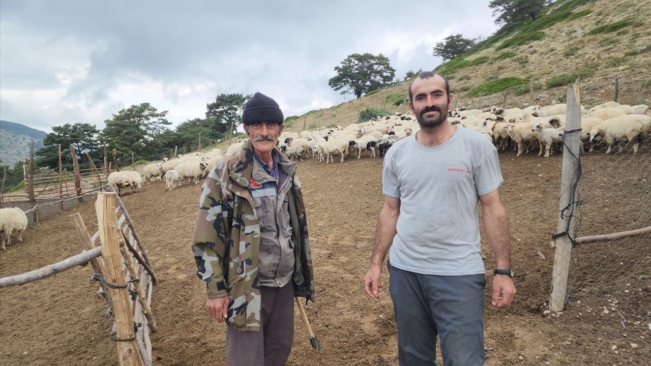 Amasya'da Yayla Dönüşü Başladı