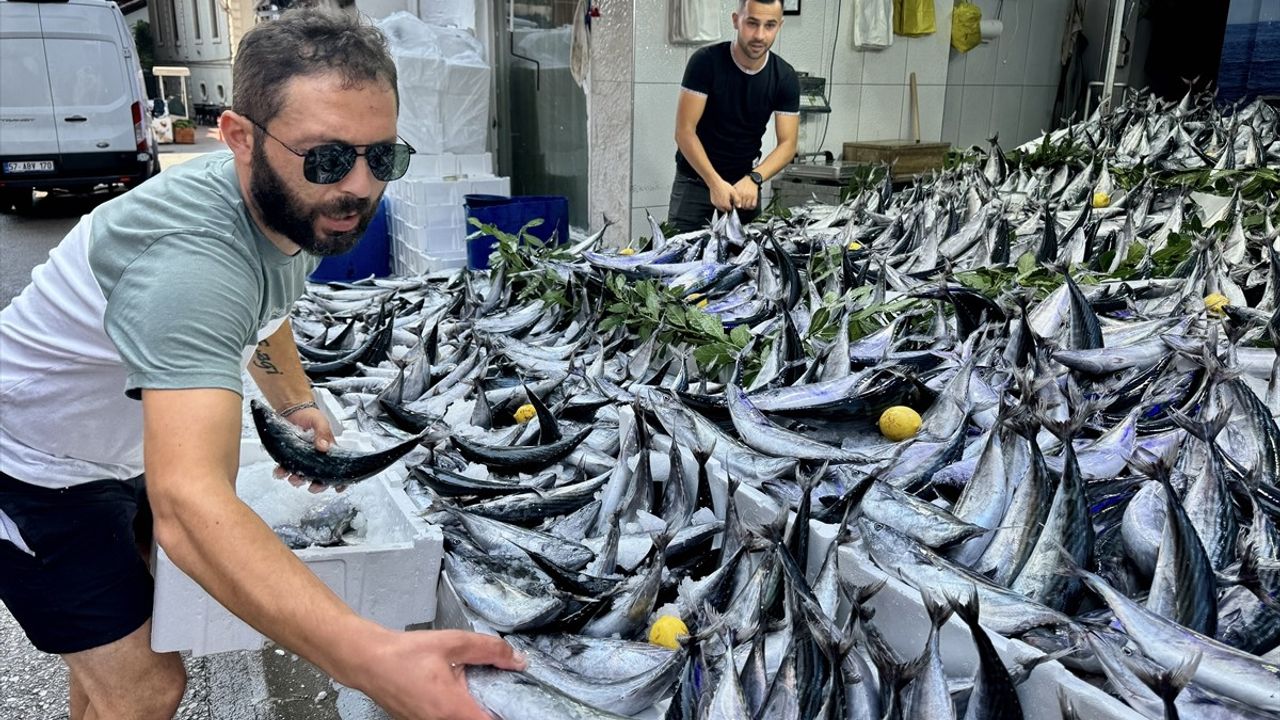 Balık Avı Sezonu Başladı: Palamut Tezgahları Süsleyecek