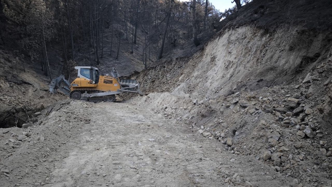 Bolu Göynük'te Orman Yangını Sonrası Yeniden Ağaçlandırma Çalışmaları Başladı