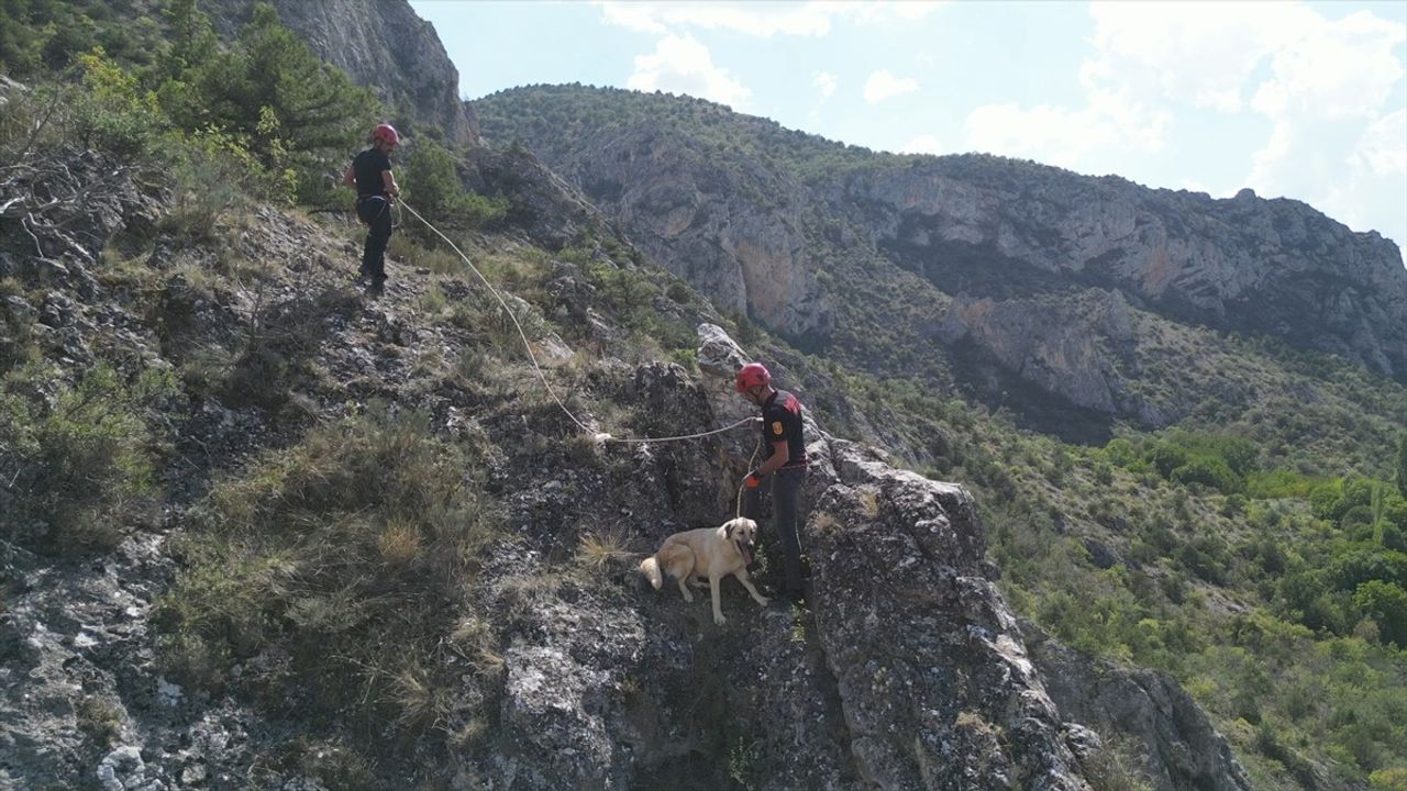 Çorum'da İtfaiye Ekipleri Mahsur Kalan Köpeği Kurtardı