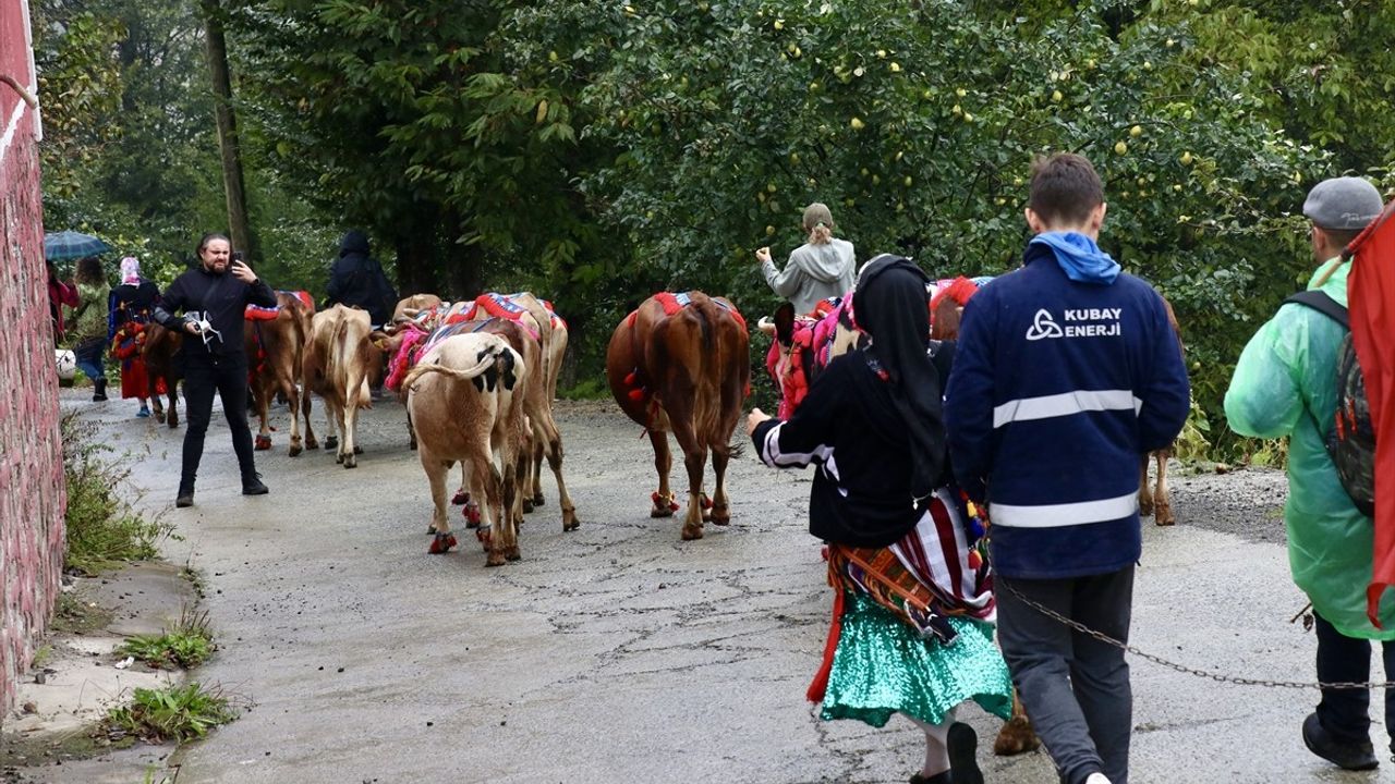 Doğu Karadeniz'de Yayla Sezonu Sona Erdi, Besiciler Dönüş Yolunda