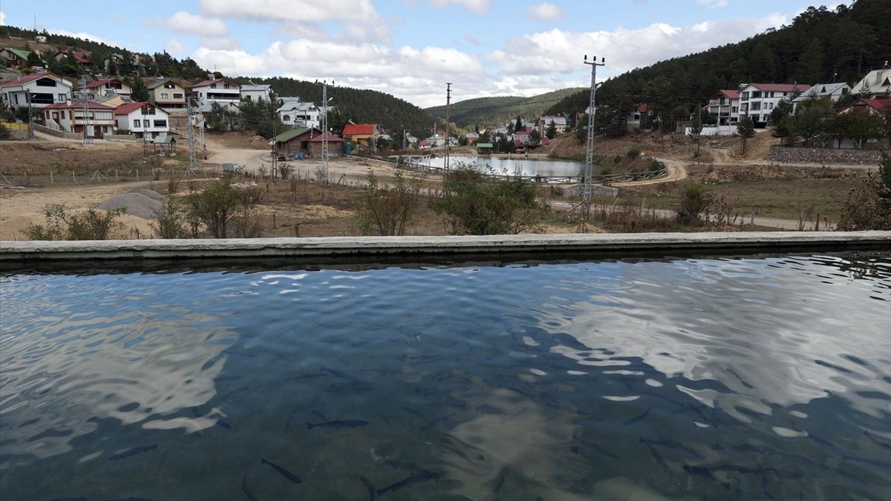 Eğriçimen ve Perşembe Yaylaları: Doğanın Büyüleyici Güzellikleriyle Dolu