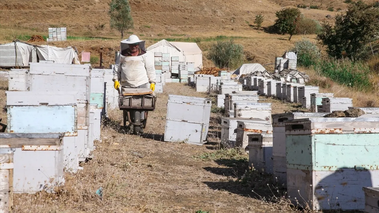 Hakkari Dağlarında Ordulu Arıcıların Bal Üretimi Aşaması