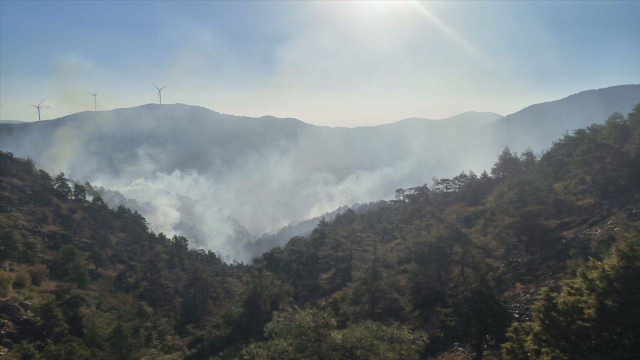 Hatay'da Orman Yangını Kontrol Altına Alındı