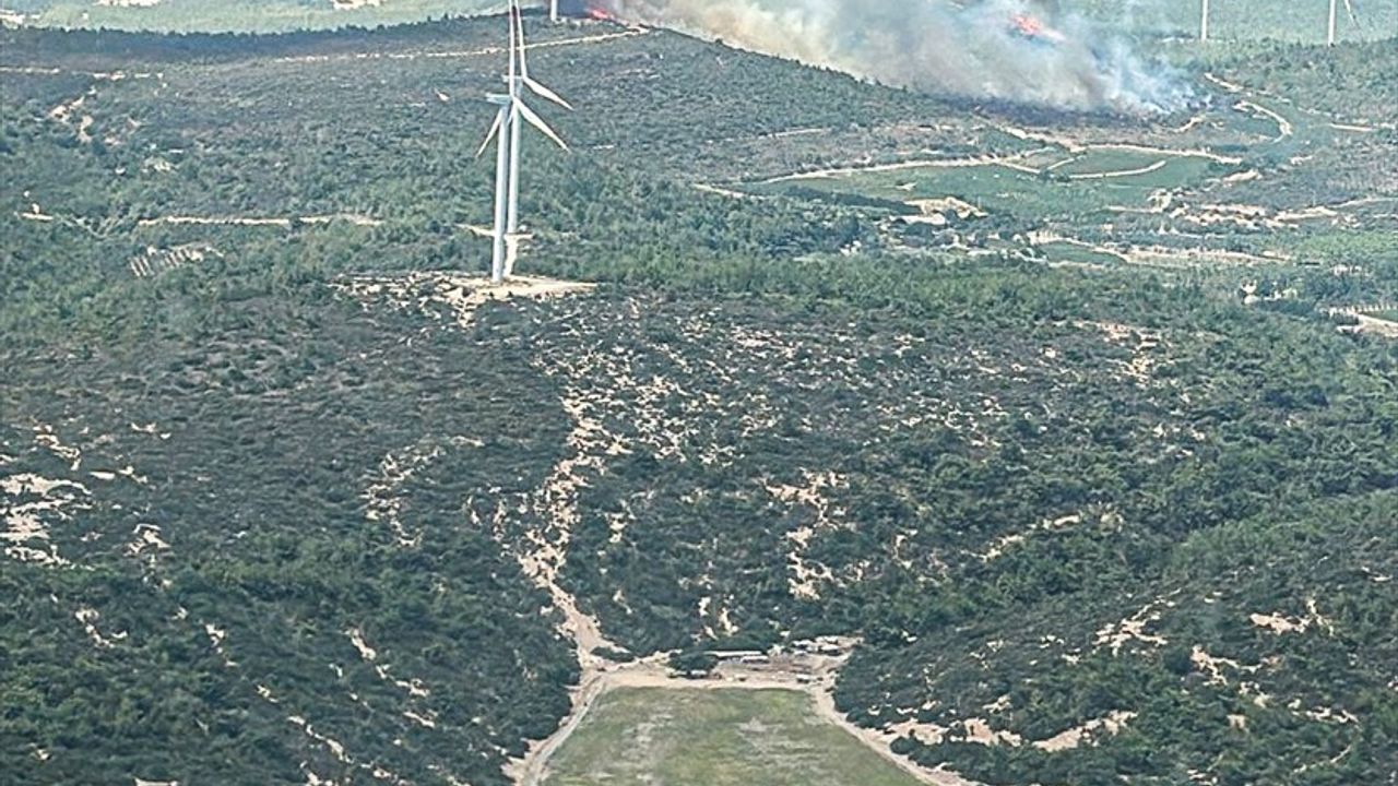 İzmir Urla'da Orman Yangınına Hızla Müdahele Başlatıldı