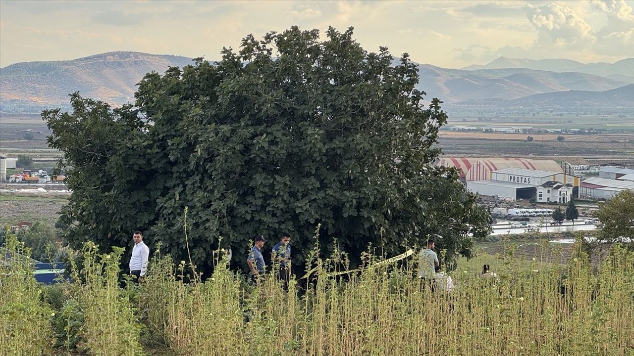 Kahramanmaraş'ta Yıldırım Düşmesi Sonucu Bir Çoban Hayatını Kaybetti