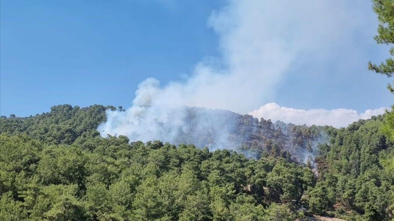 Kaş'taki Orman Yangını Şüphesi Serbest Bırakıldı