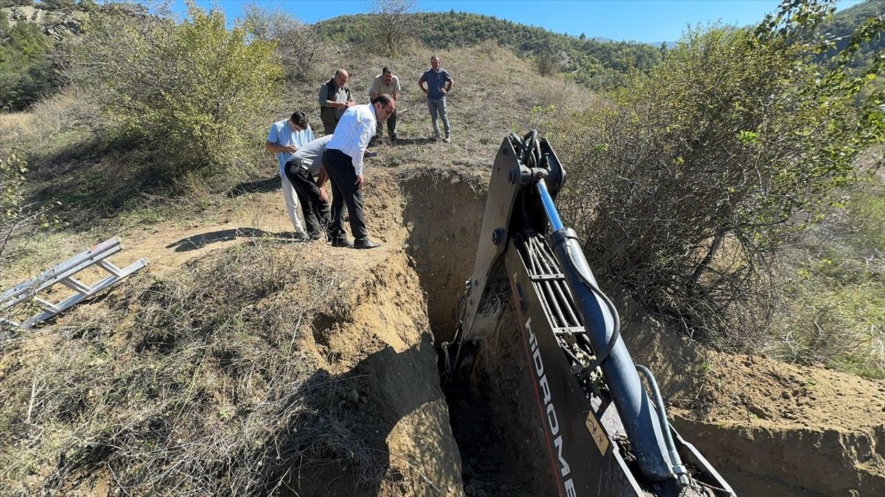 Kastamonu'da Çukura Düşen Ayı Başarıyla Kurtarıldı