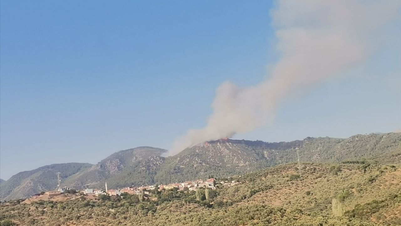 Milas'ta Orman Yangınına Acil Müdahale Başlatıldı