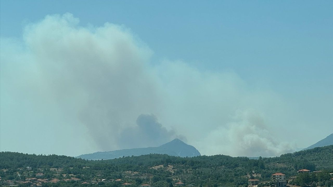 Muğla'da Orman Yangınına Hızla Müdahale Ediliyor