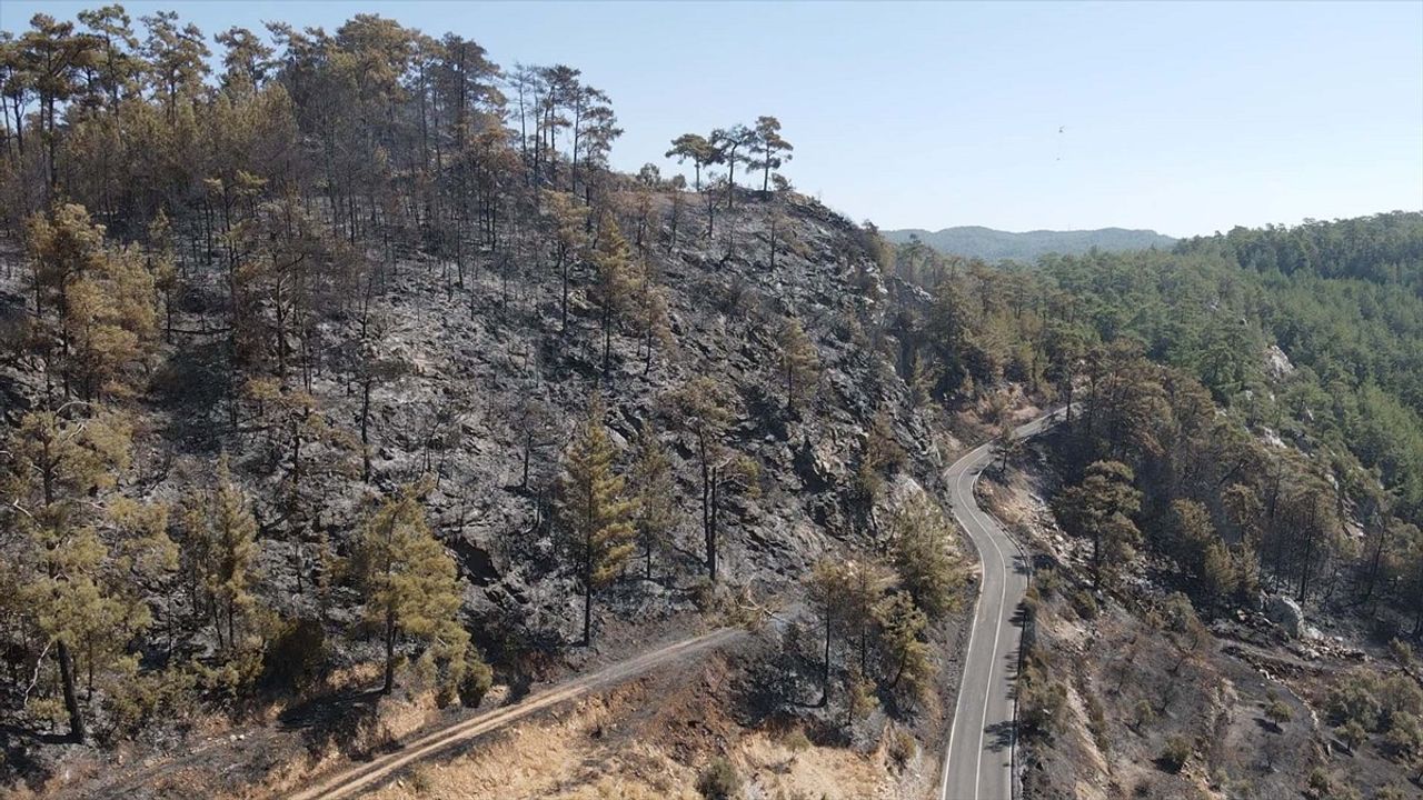 Muğla'daki Orman Yangınına Hızla Müdahale Devam Ediyor