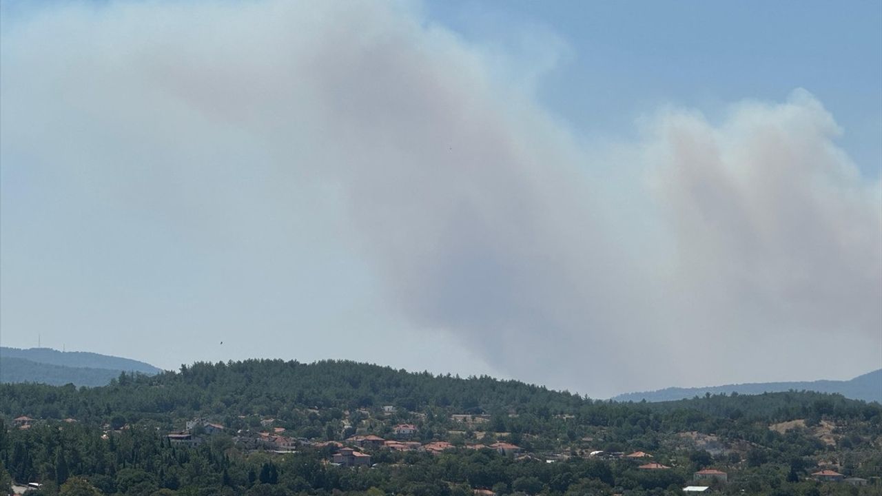 Muğla'daki Orman Yangınına Hızla Müdahale Ediliyor