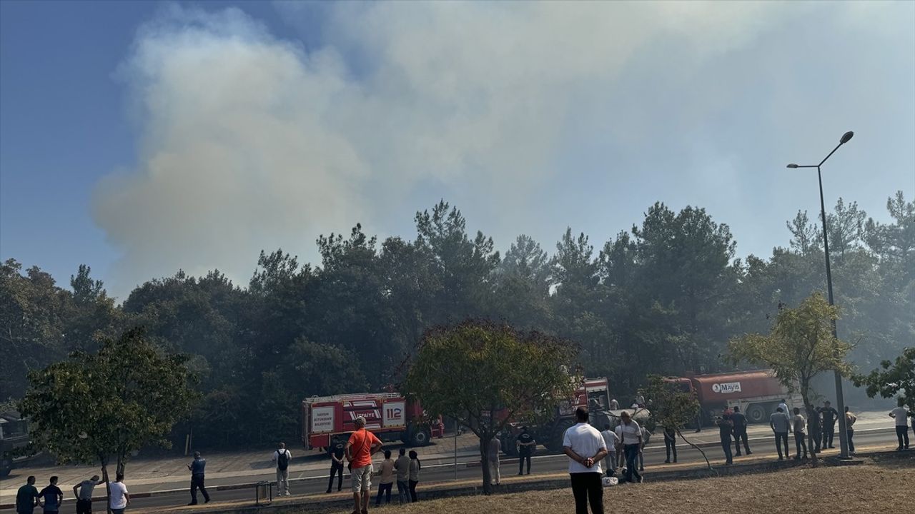 OMÜ Kampüsünde Yangınla Mücadele Devam Ediyor