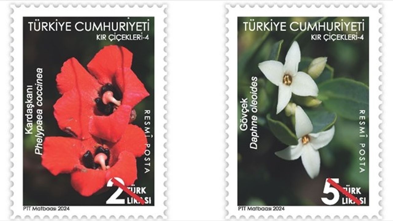 PTT'den Yeni Pul: Kır Çiçekleri-4 Satışta