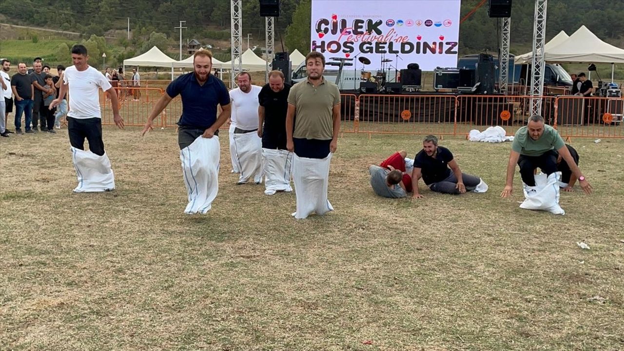 Sakarya'da Renkli Bir Çilek Festivali Gerçekleşti