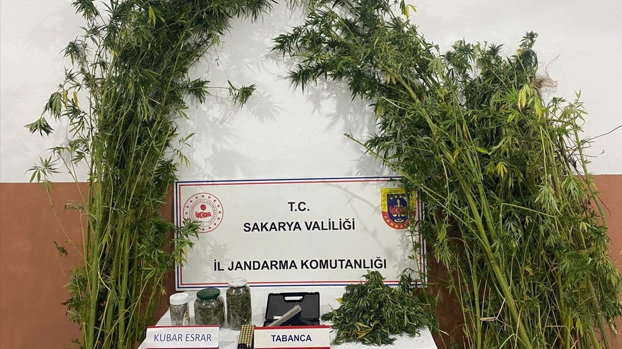 Sakarya'da Uyuşturucu Operasyonunda 1 Zanlı Tutuklandı