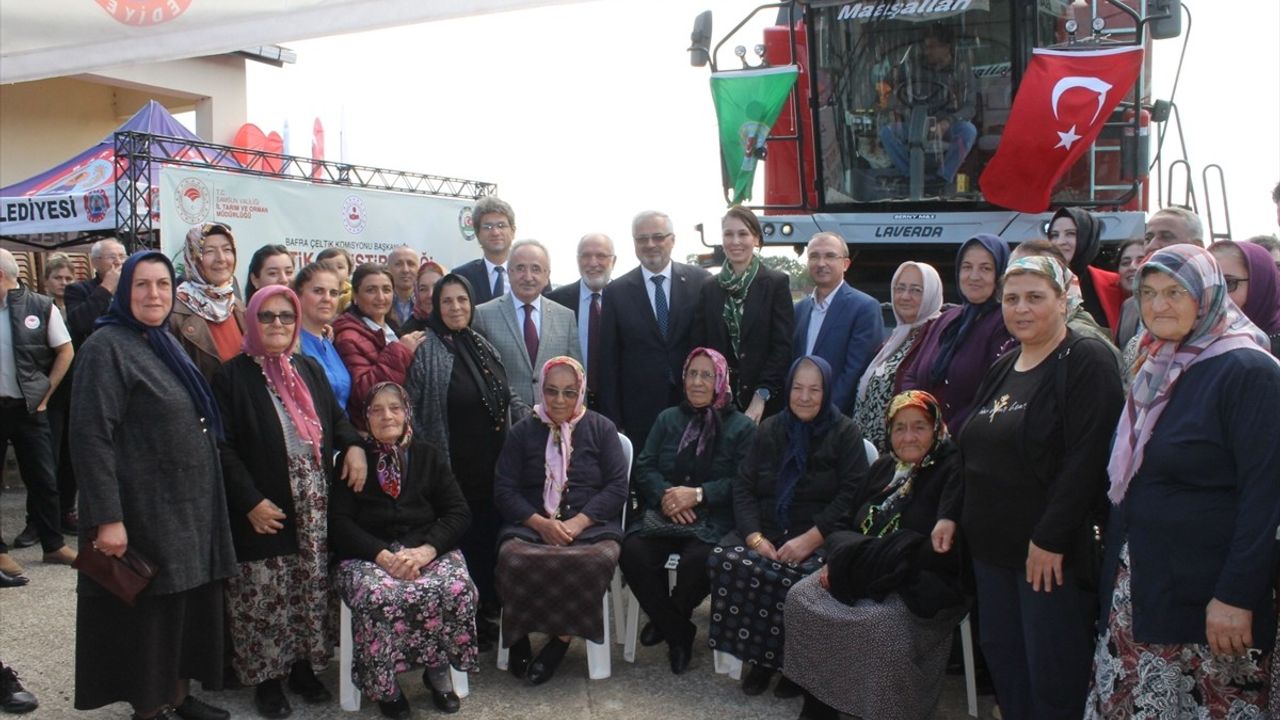 Samsun'da Çeltik Yetiştiriciliği Hasat Günü: Tarımın Geleceği İçin Önemli Adımlar