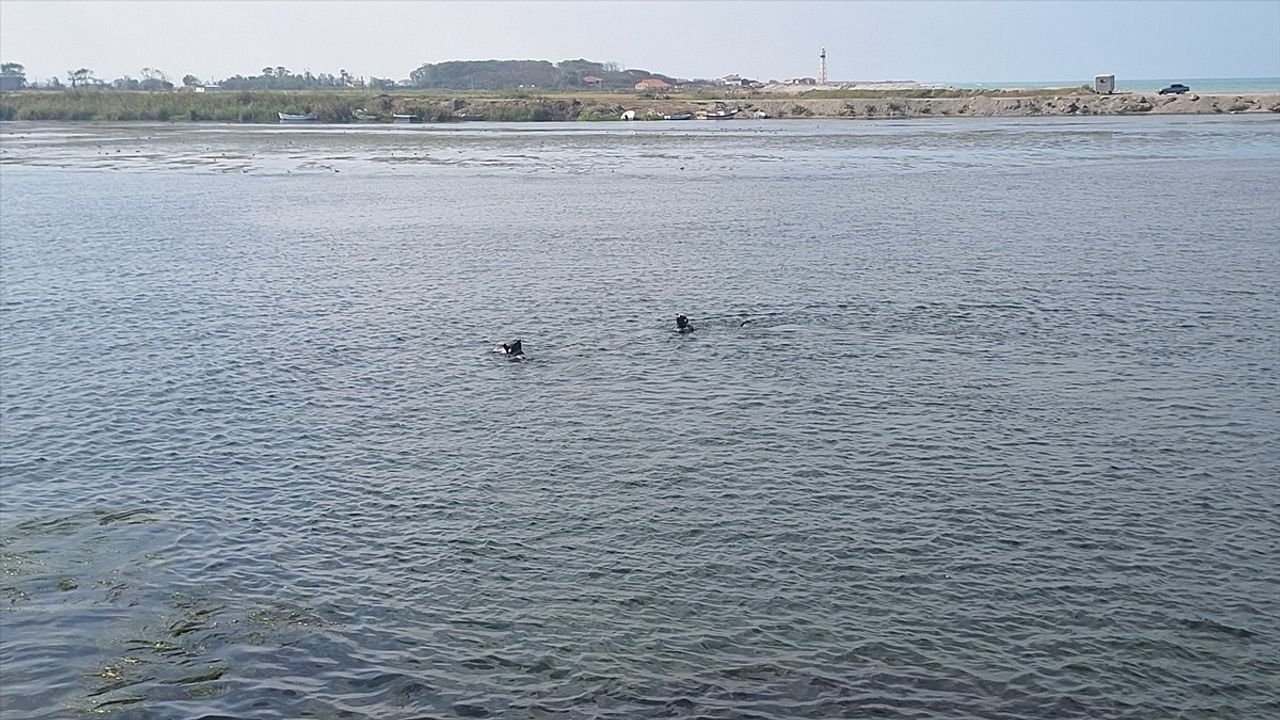 Samsun'da Kaybolan Balıkçı İçin Arama Çalışmalarına Ara Verildi