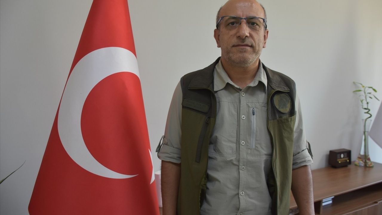 Şırnak'ta Yaralı Kızıl Şahin ve Balaban Kuşu Kurtarıldı