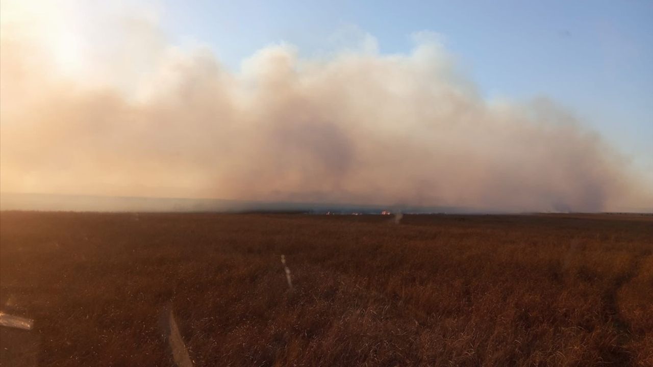 Sultan Sazlığı Milli Parkı'ndaki Yangın 50 Hektar Alanı Kül Etti