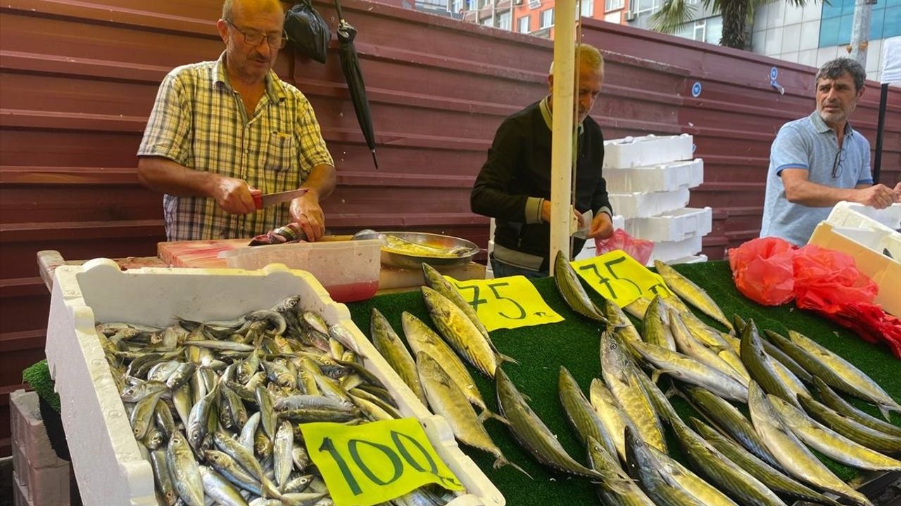 Zonguldak'ta Balık Pazarı Sezonu Başladı