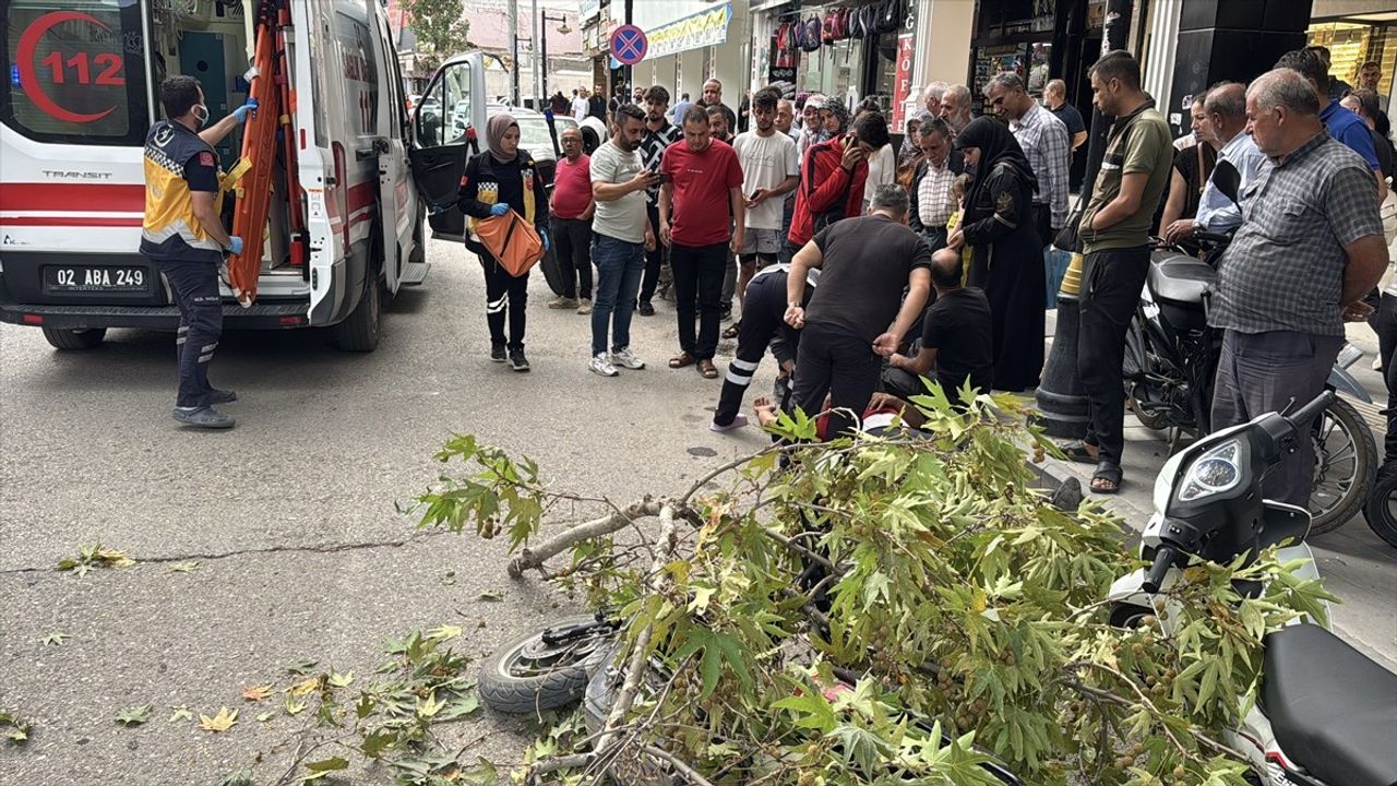 Adıyaman'da Rüzgarın Kırdığı Dal Motosiklet Sürücüsünü Yaraladı