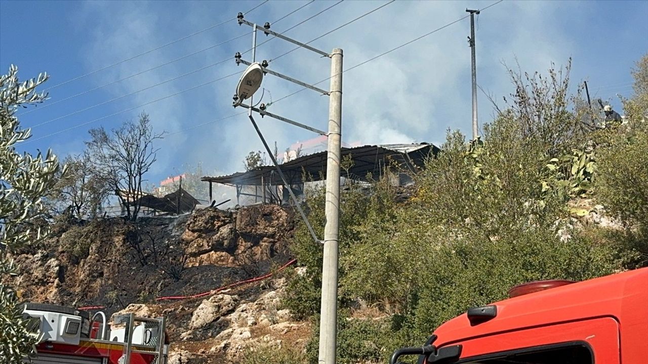 Antalya'da Ağılda Yangın: 50 Küçükbaş Hayvan Telef Oldu