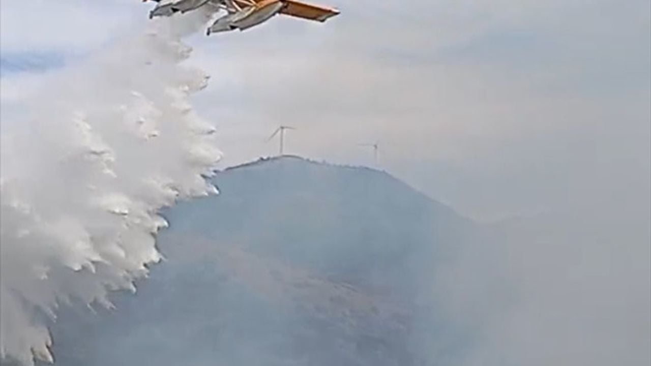 Balıkesir'de Zeytinliklere Sıçrayan Yangın Kontrol Altına Alındı