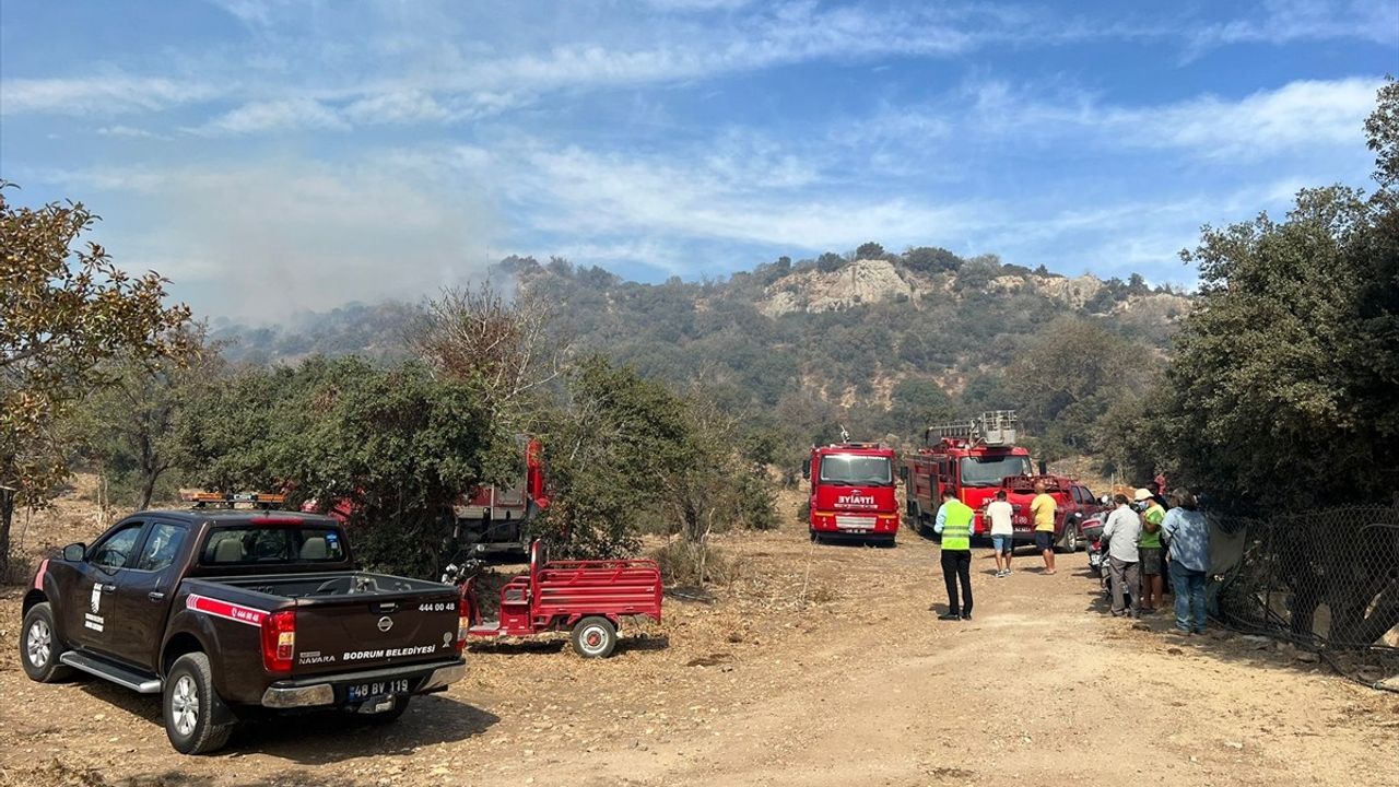 Bodrum'da Yangın: 5 Hektar Makilik Alan Zarar Gördü