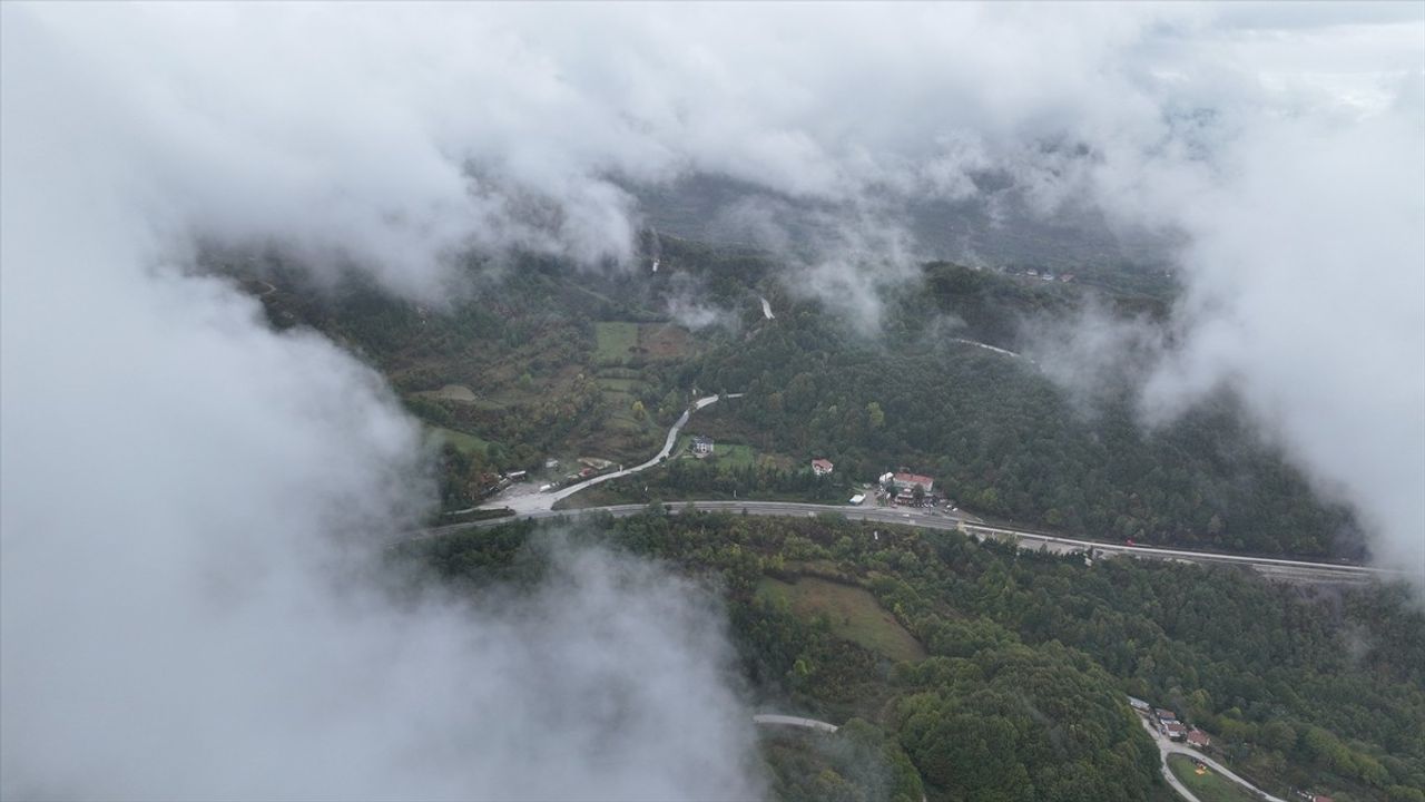 Bolu Dağı'nda Kış Manzarası: Kar ve Sis Etkili