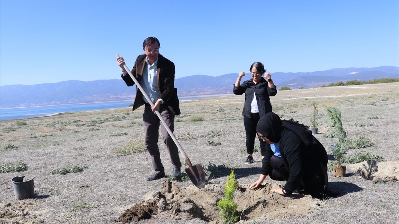 Burdur Gölü'nde Ağaç Dikme Etkinliği Düzenlendi