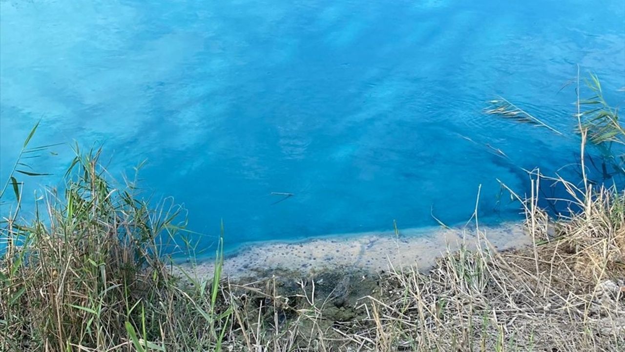 Çorlu Deresi'nin Turkuaz Renk Deneyimi