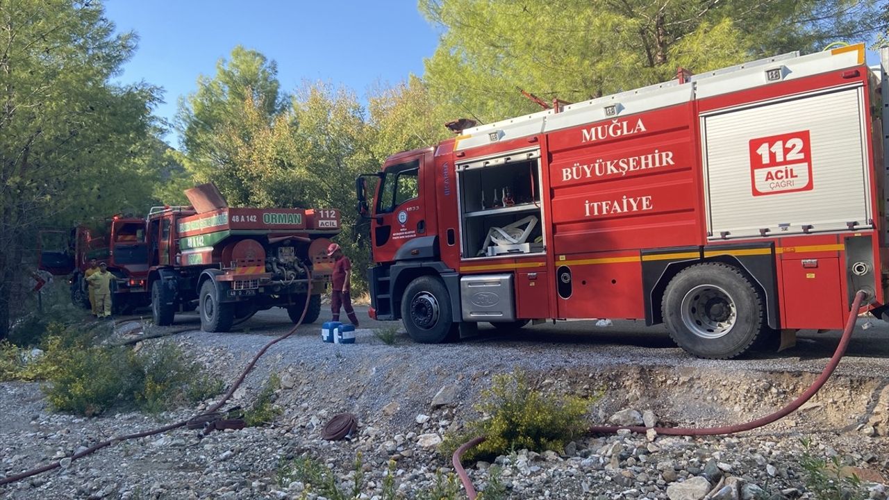 Dalaman'da Orman Yangınına Müdahale Ediliyor