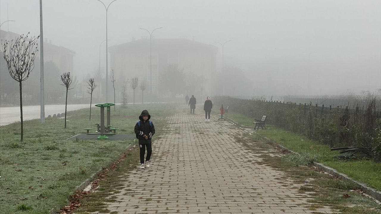 Düzce'de Görüş Mesafesini Düşüren Sis Etkili Oldu